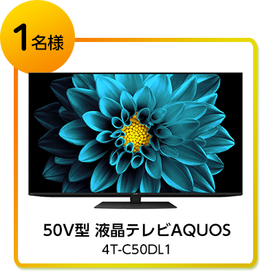 50V型 液晶テレビAQUOS 4T-C50DL1 1名様