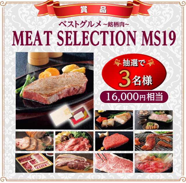 ベストグルメ ～銘柄肉～　MEAT SELECTION MS19