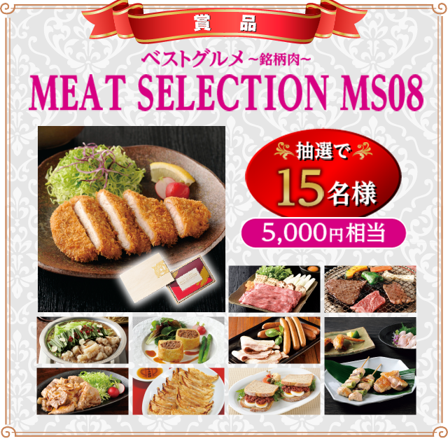 ベストグルメ ～銘柄肉～　MEAT SELECTION MS08