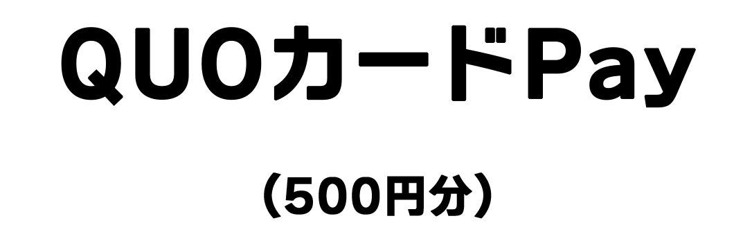 QUOカードPay(500円分)
