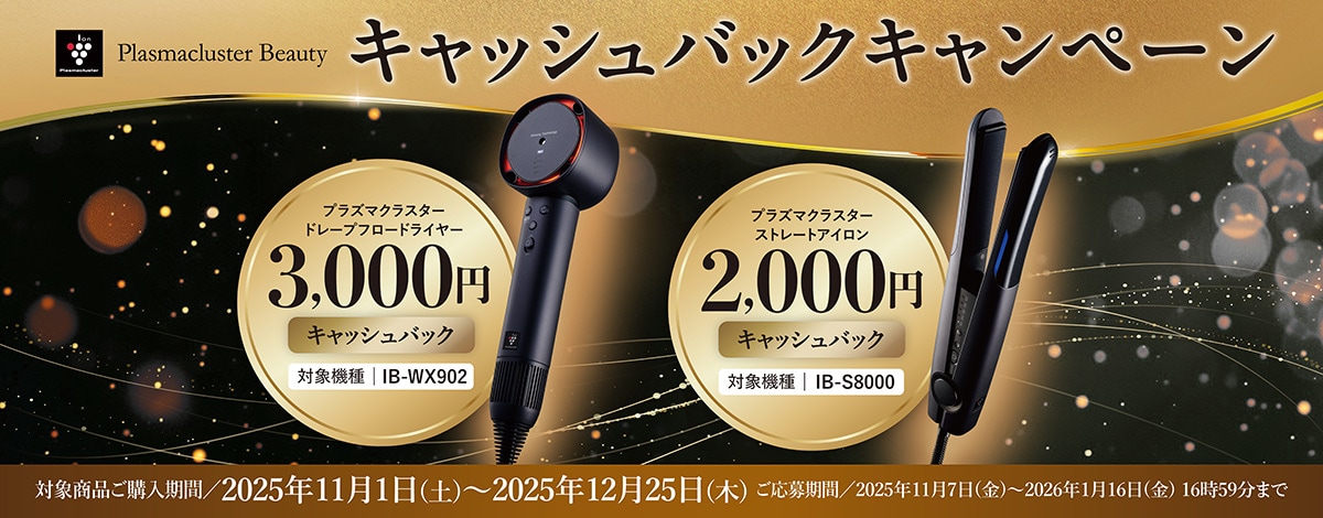 ドライヤーキャンペーン