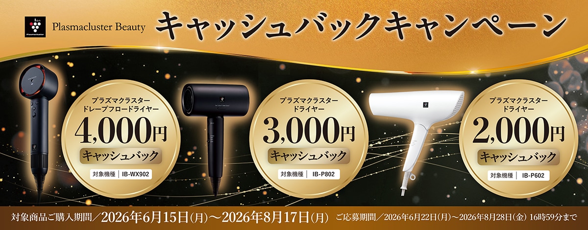 ドライヤーキャンペーンへのリンク