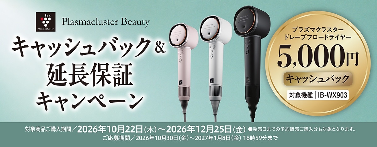 ドライヤーキャンペーンのリンク