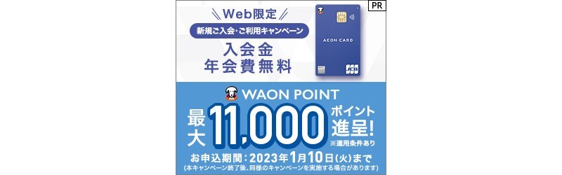 イメージ:Web限定!新規ご入会・ご利用キャンペーン WAWON POINT最大11,000ポイント進呈!※適用条件あり